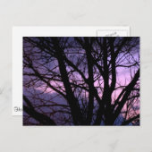 Sunset Briefkaart (Voorkant / Achterkant)