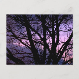 Sunset Briefkaart