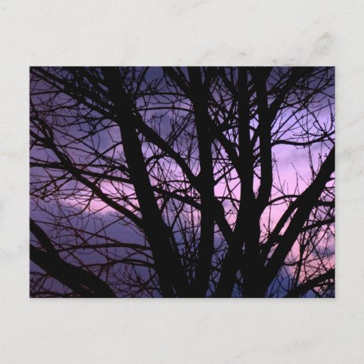 Sunset Briefkaart (Voorkant)