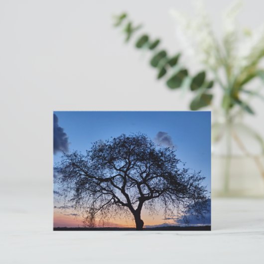 Sunset Briefkaart (Staand voorkant)