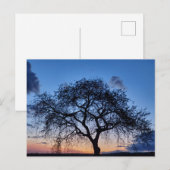 Sunset Briefkaart (Voorkant / Achterkant)