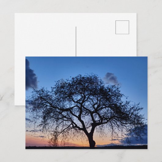 Sunset Briefkaart (Voorkant / Achterkant)