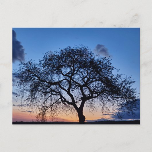 Sunset Briefkaart (Voorkant)