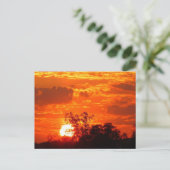 Sunset Briefkaart (Staand voorkant)