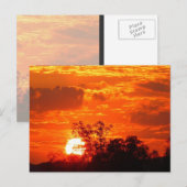 Sunset Briefkaart (Voorkant / Achterkant)