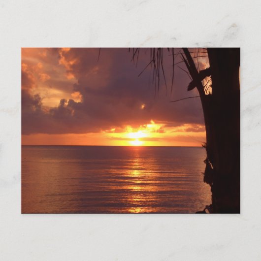 Sunset Briefkaart (Voorkant)