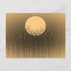 Sunset briefkaarten