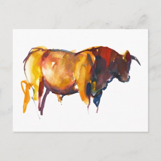 Sunset Bull 2010 Briefkaart (Voorkant)
