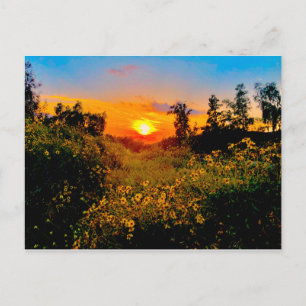 Sunset Burbank, California Yellow Wild Flowers Briefkaart