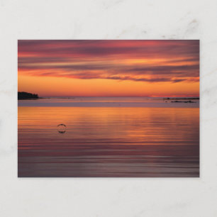 Sunset by the zee, Finland CC0157 Briefkaart