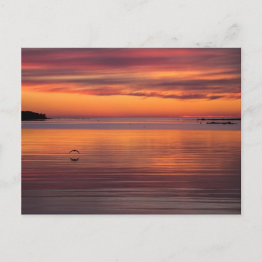 Sunset by the zee, Finland CC0157 Briefkaart (Voorkant)
