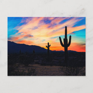 Sunset Cactus Desert Dusk Briefkaart