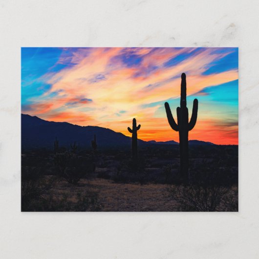 Sunset Cactus Desert Dusk Briefkaart (Voorkant)