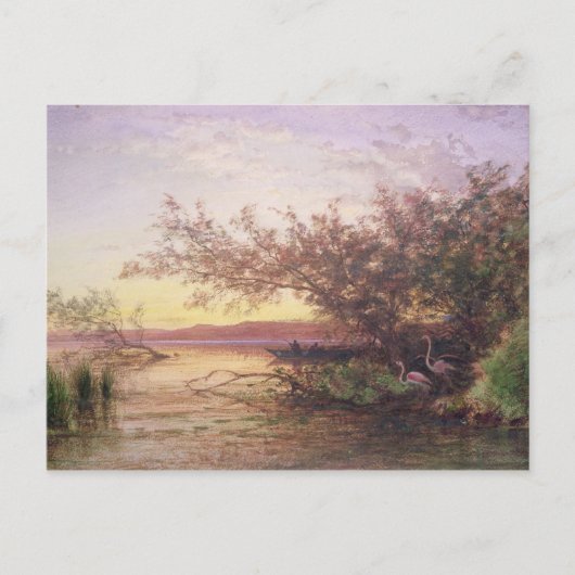 Sunset, Camargue Briefkaart (Voorkant)