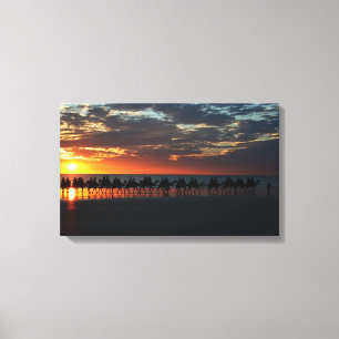 Sunset Camel Ride, Broome, Australië - Canvas Afdruk