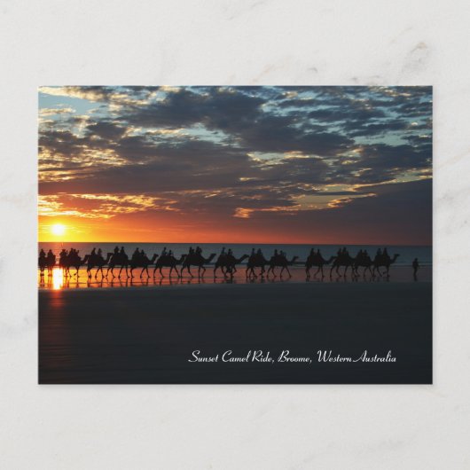 Sunset Camel Ride, Broome, Western Australië Briefkaart (Voorkant)
