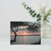 Sunset Carmel, Ca. Briefkaart (Staand voorkant)