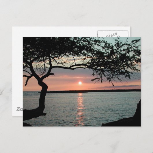 Sunset Carmel, Ca. Briefkaart (Voorkant / Achterkant)