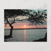 Sunset Carmel, Ca. Briefkaart (Voorkant)