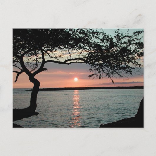 Sunset Carmel, Ca. Briefkaart (Voorkant)