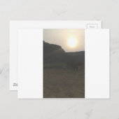 Sunset Cattle Briefkaart (Voorkant / Achterkant)