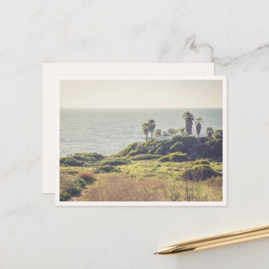 Sunset Cliffs Point Loma San Diego Palmbomen Briefkaart (Voorkant / Achterkant in situ)