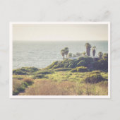 Sunset Cliffs Point Loma San Diego Palmbomen Briefkaart (Voorkant)