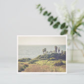 Sunset Cliffs Point Loma San Diego Palmbomen Briefkaart (Staand voorkant)