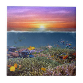 Sunset Coral Reef Tegeltje