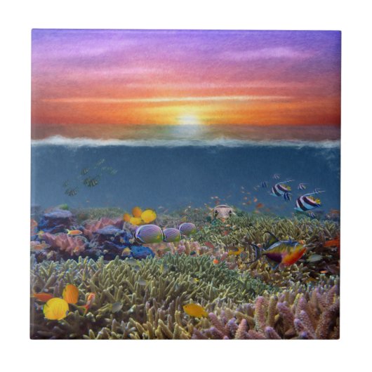 Sunset Coral Reef Tegeltje (Voorkant)
