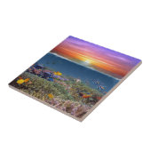 Sunset Coral Reef Tegeltje (Zijkant)
