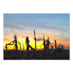 Sunset Corn Field Foto Afdruk