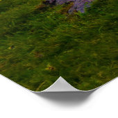 Sunset County Clare Dolmen Poster (Hoek)