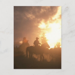 Sunset Cowboy Briefkaart