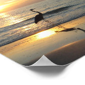 Sunset Crane Indische Rocks Beach Florida Poster (Hoek)