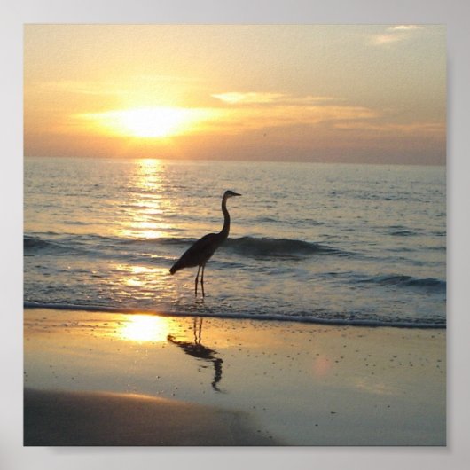 Sunset Crane Indische Rocks Beach Florida Poster (Voorkant)
