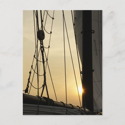 Sunset Cruise Briefkaart (Voorkant)