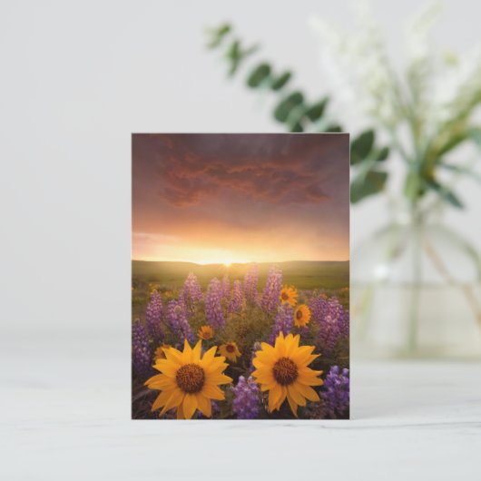 Sunset Daisies Briefkaart (Staand voorkant)