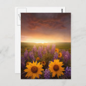Sunset Daisies Briefkaart (Voorkant / Achterkant)