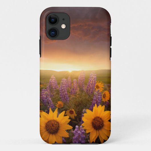 Sunset Daisies Case-Mate iPhone Case (Achterkant)