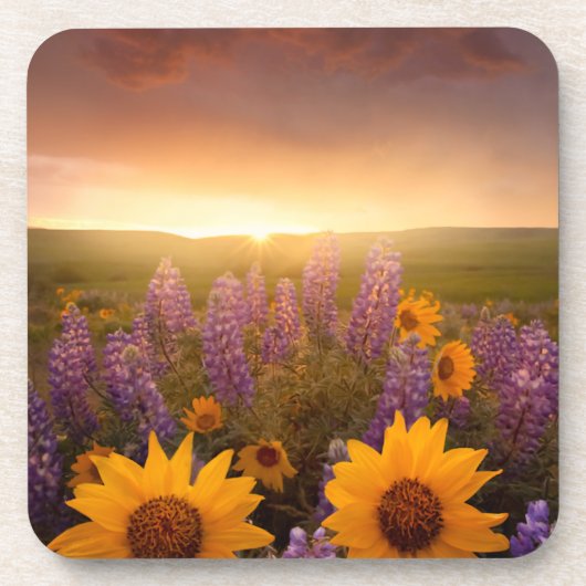 Sunset Daisies Drankjes Onderzetter (Voorkant)
