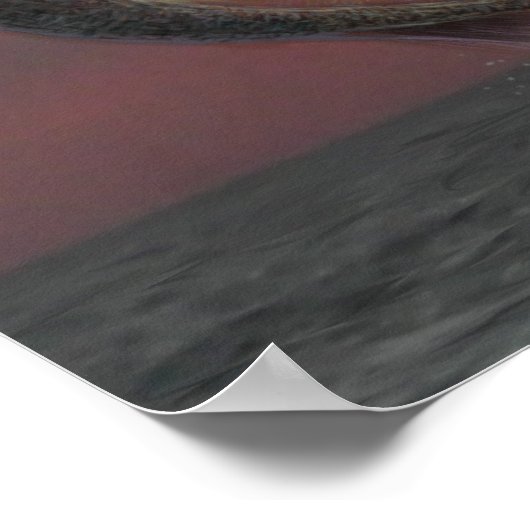 Sunset Dance Poster (Hoek)