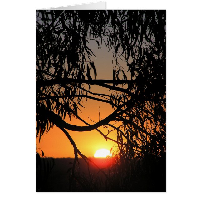 Sunset Darkness Kaart (Voorkant)