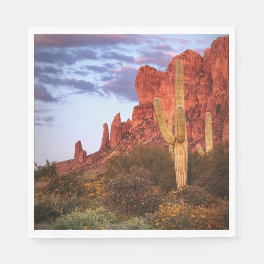 Sunset Desert Arizona State Servet (Voorkant)
