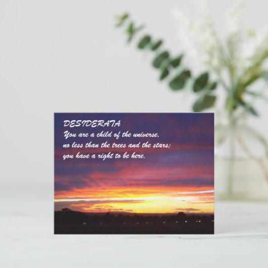 Sunset DESIDERATA Briefkaart (Staand voorkant)