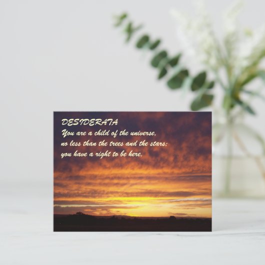 Sunset DESIDERATA Briefkaart (Staand voorkant)