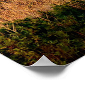 Sunset Diesel Locomotive Train 32"x24" Poster (Hoek)