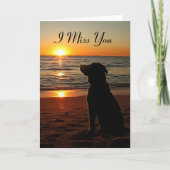 Sunset Dog on Beach - Miss You Kaart (Voorkant)