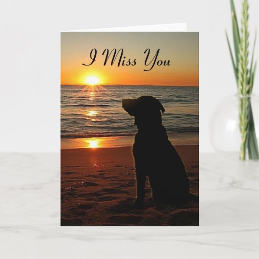 Sunset Dog on Beach - Miss You Kaart (Voorkant)