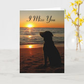 Sunset Dog on Beach - Miss You Kaart (Gele Bloem)
